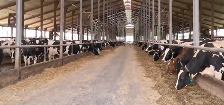 Video: Closed circle farm reduces the environmental impact of agriculture