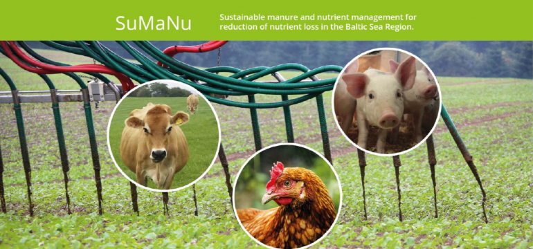 Policy recommendations for sustainable manure and nutrient management